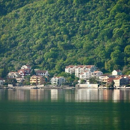 Ana Apartment Kotor Ngoại thất bức ảnh