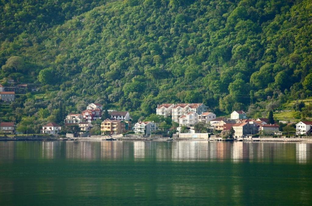 Ana Apartment Kotor Ngoại thất bức ảnh